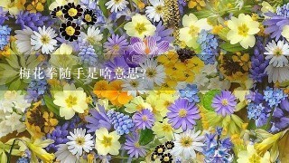 梅花拳随手是啥意思?