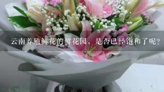 云南养殖鲜花的鲜花园，是否已经饱和了呢？