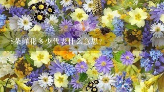 8朵鲜花多少代表什么意思？