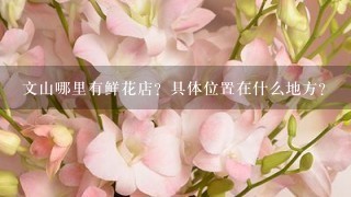 文山哪里有鲜花店？具体位置在什么地方？