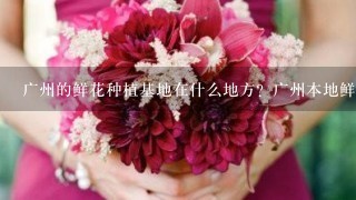 广州的鲜花种植基地在什么地方？广州本地鲜花有哪些品种？