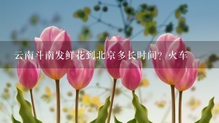 云南斗南发鲜花到北京多长时间？火车