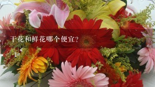 干花和鲜花哪个便宜？