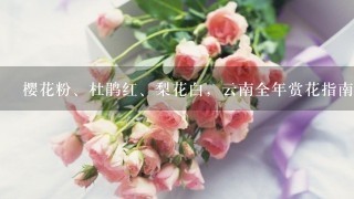 樱花粉、杜鹃红、梨花白，云南全年赏花指南，每月该