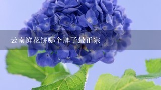 云南鲜花饼哪个牌子最正宗