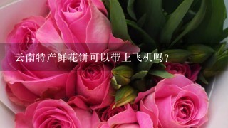 云南特产鲜花饼可以带上飞机吗？