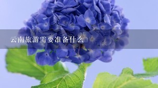 云南旅游需要准备什么