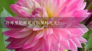 冷库里的鲜花可以保鲜几天？