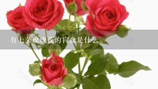 有7朵玫瑰花的肓盒是什么