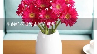 斗南鲜花批发市场在哪里