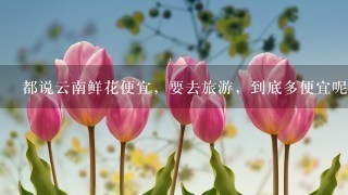 都说云南鲜花便宜，要去旅游，到底多便宜呢？方便携带吗