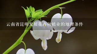 云南省昆明发展花卉种植业的地理条件