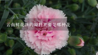 云南鲜花饼的原料主要是哪种花