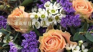 55 求花好月圆夜原版伴奏