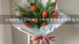 云南的省会昆明城市1年4季温暖如春鲜花不断人们常用诗句来形容美丽的城市这