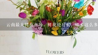 云南最大鲜花市场，鲜花论斤卖，哪来这么多鲜花？