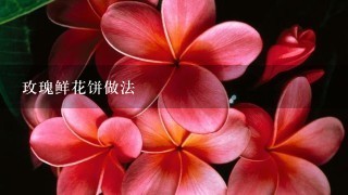 玫瑰鲜花饼做法