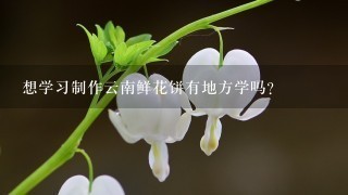 想学习制作云南鲜花饼有地方学吗？