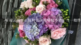 听说云南真正好鲜花饼花喵挺不错，当1般伴手礼来送