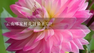 云南哪家鲜花饼最正宗？