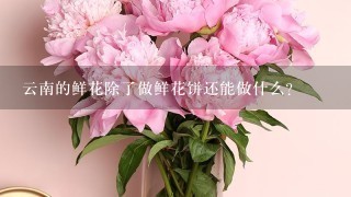 云南的鲜花除了做鲜花饼还能做什么?