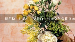 樱花粉、杜鹃红、梨花白，云南全年赏花指南，每月该