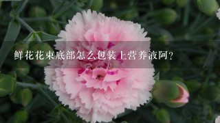 鲜花花束底部怎么包装上营养液阿？