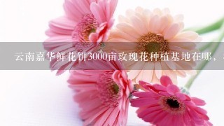 云南嘉华鲜花饼3000亩玫瑰花种植基地在哪，我在网上查了查大概在曲靖市马龙县，求具体位置，要离昆明