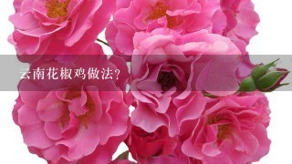 云南花椒鸡做法？