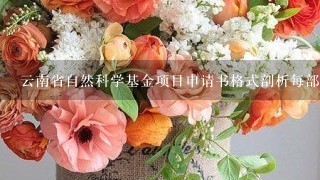 云南省自然科学基金项目申请书格式剖析每部分写作要求？