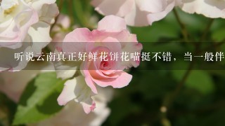 听说云南真正好鲜花饼花喵挺不错，当1般伴手礼来送