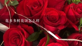 花多多鲜花饼怎么样