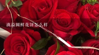 滇溢圆鲜花饼怎么样