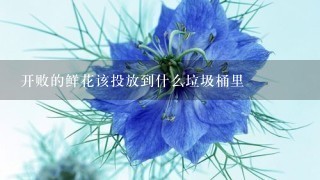 开败的鲜花该投放到什么垃圾桶里