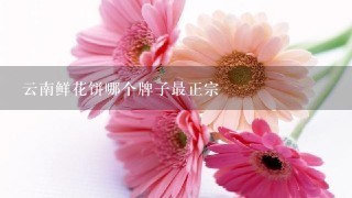 云南鲜花饼哪个牌子最正宗