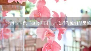 云南被叫做“植物王国”，是因为他们那里植物很多吗？