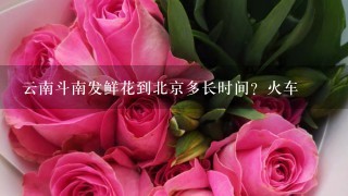 云南斗南发鲜花到北京多长时间？火车