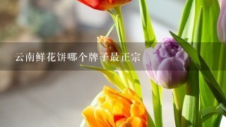 云南鲜花饼哪个牌子最正宗