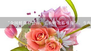 “全国鲜花看云南，云南鲜花看斗南”，斗南花市距昆明市区约18公里，是亚洲最大的鲜花交易市场，也是中国最大的花卉交易市场...