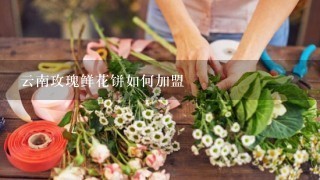 云南玫瑰鲜花饼如何加盟