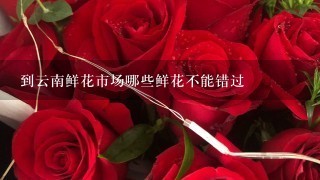 到云南鲜花市场哪些鲜花不能错过