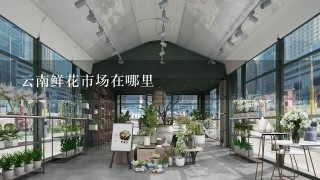 云南鲜花市场在哪里