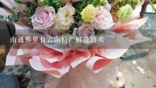 南通那里有云南特产鲜花饼卖