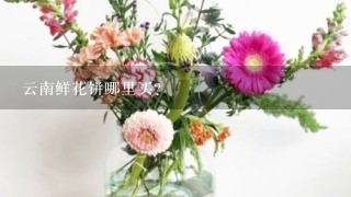 云南鲜花饼哪里买？