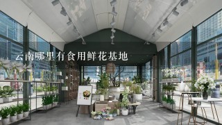 云南哪里有食用鲜花基地