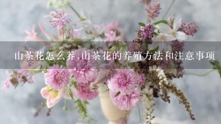 山茶花怎么养,山茶花的养殖方法和注意事项