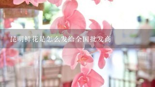 昆明鲜花是怎么发给全国批发商