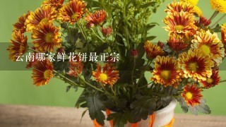 云南哪家鲜花饼最正宗