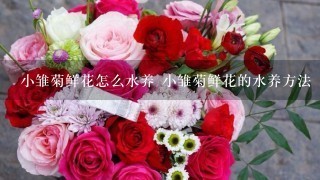 小雏菊鲜花怎么水养 小雏菊鲜花的水养方法