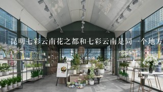 昆明7彩云南花之都和7彩云南是同1个地方吗